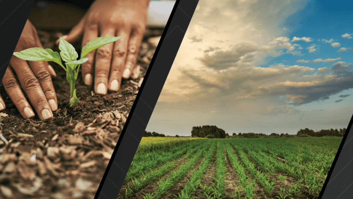 climate-smart agriculture