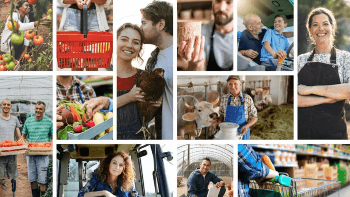 food supply chain