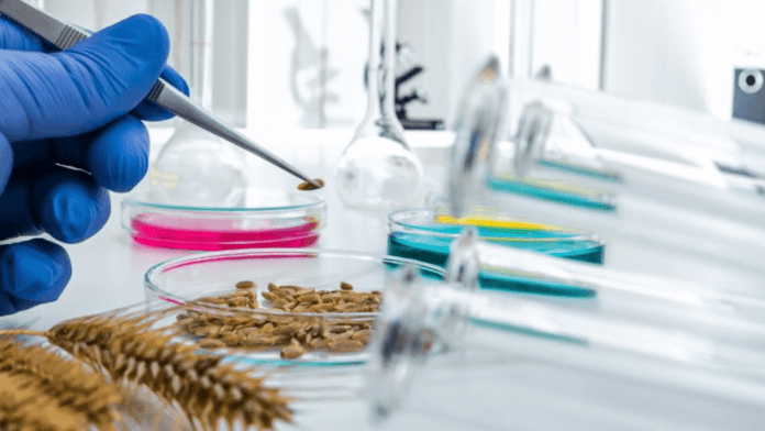 gene-editing