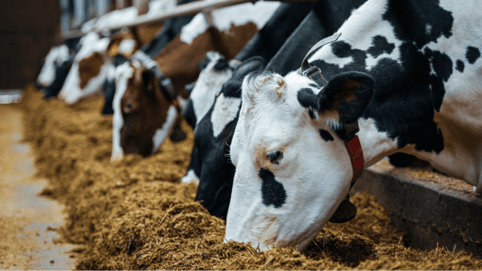 protein imports