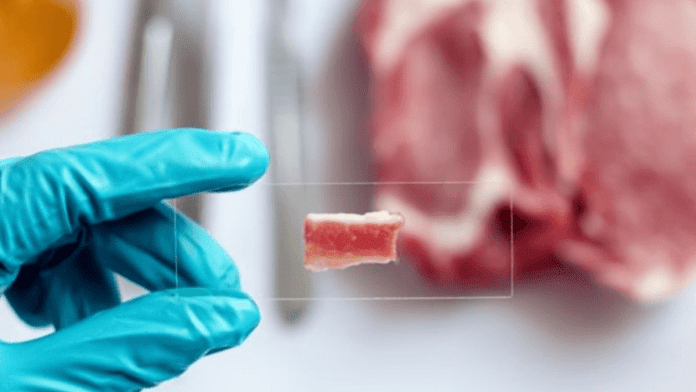 meat safety