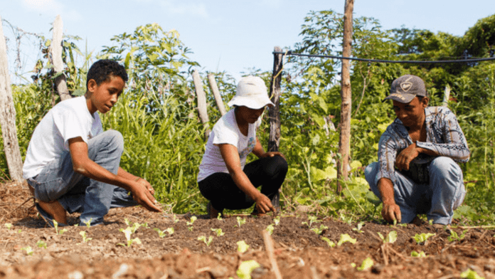 climate resilience