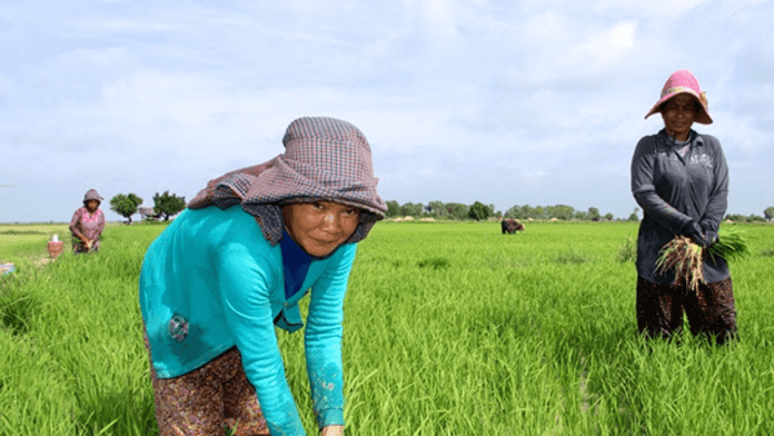 small-scale farmers
