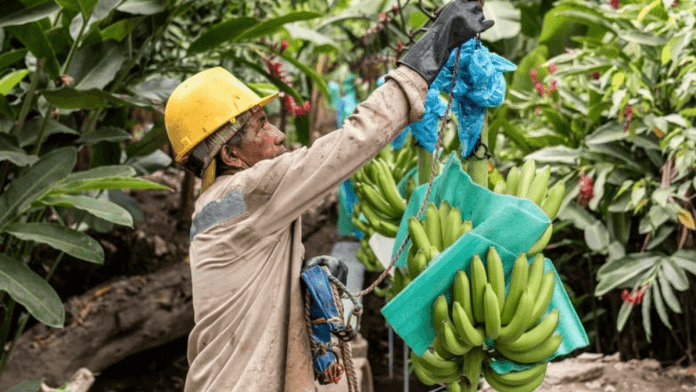 Fairtrade
