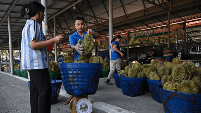 durian prices