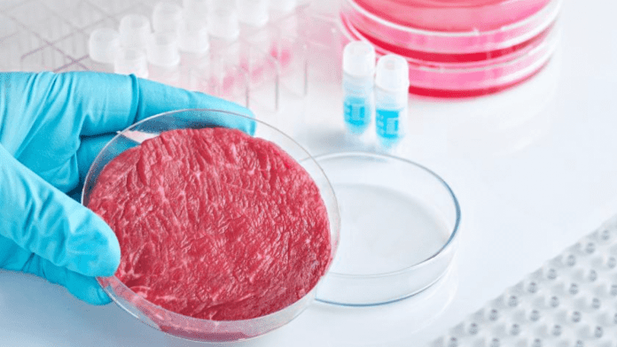 lab-grown meat