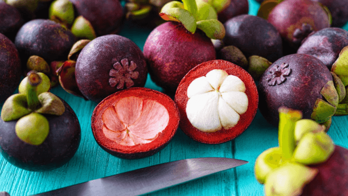 mangosteen production