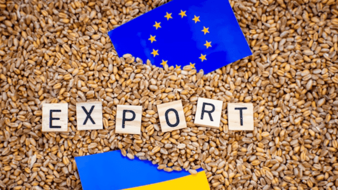 grain exports
