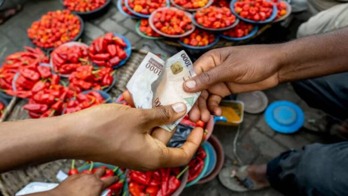 Mixed Reactions Trail Tomatoes, Pepper Price Crash In Nigerian Markets