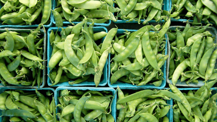 Peruvian peas