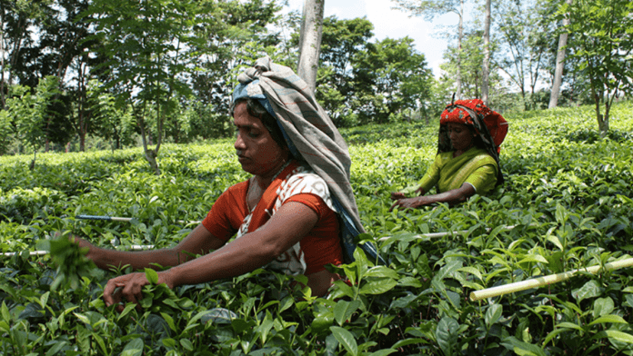 Rural Development