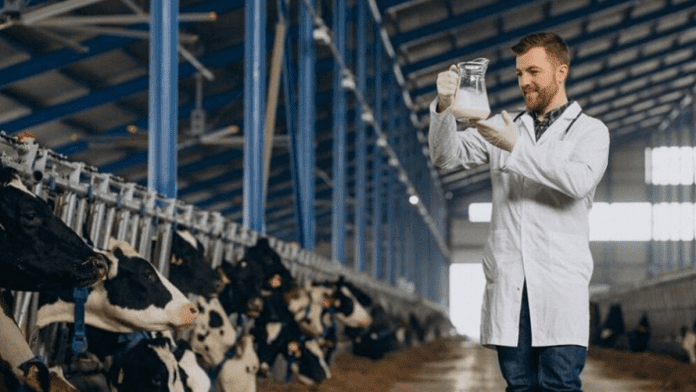 H5N1 outbreak