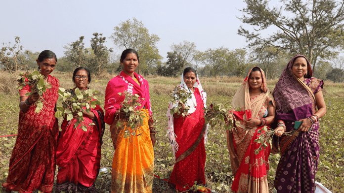 International Year of the Woman Farmer