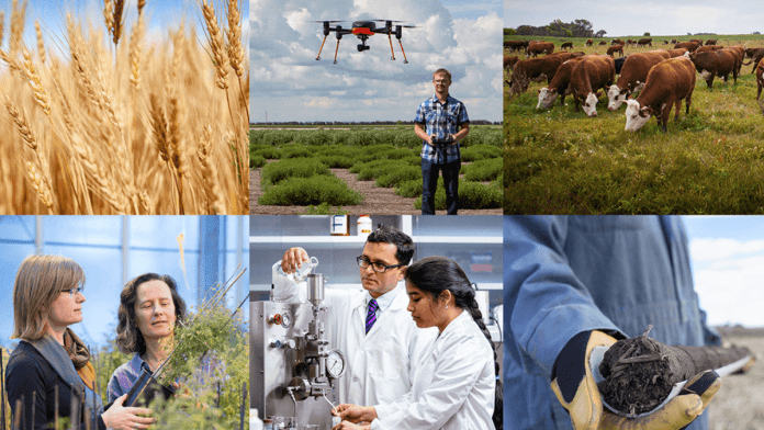 agriculture research