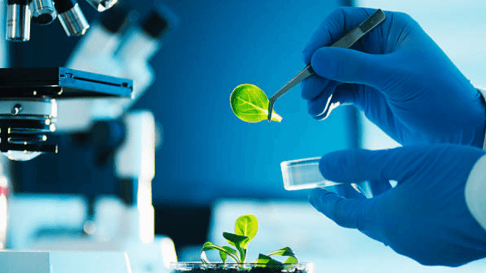 biotechnology regulation