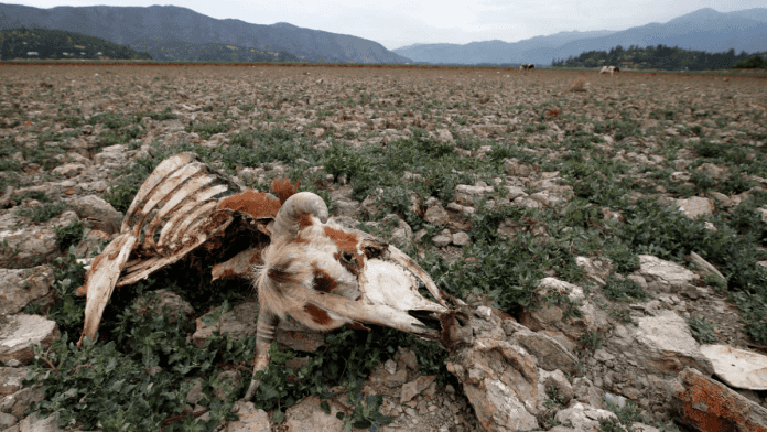 water scarcity