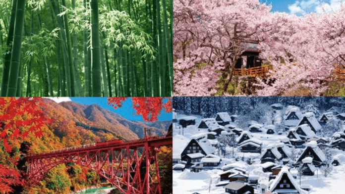 micro-seasons