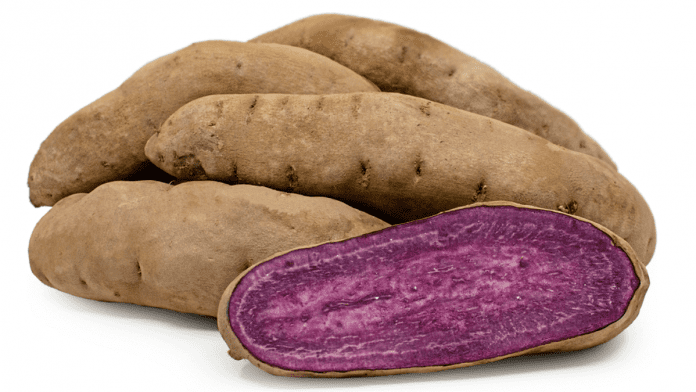 Purple Splendor