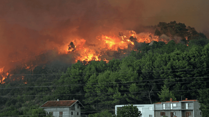 wildfire