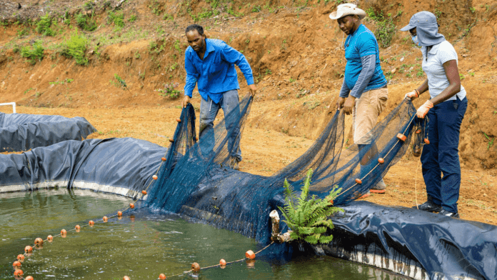 Aquaculture