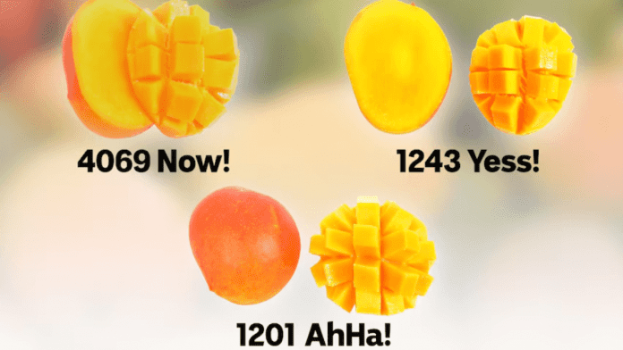 Mango varieties