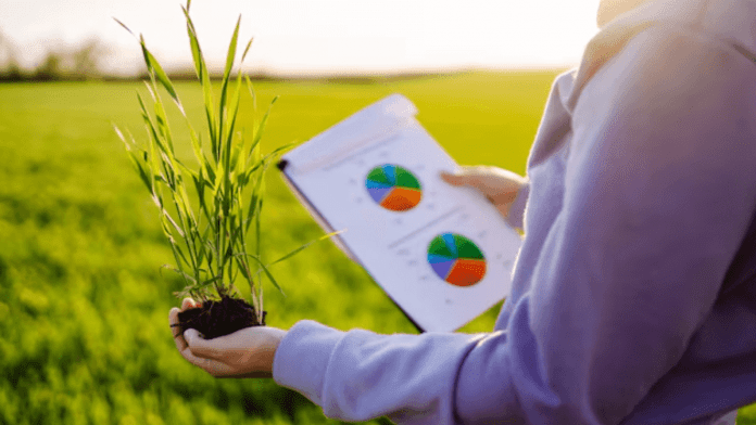 soil health