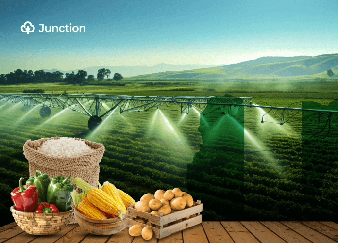 Nigeria's Food Production Hits 40-Year Low