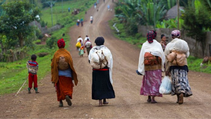 Jigawa Villagers Blame Declining Farm Output, Urban Drift On Warwade Dam Abandonment