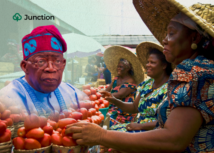 Why are food subsidies essential for the survival of Nigerians?
