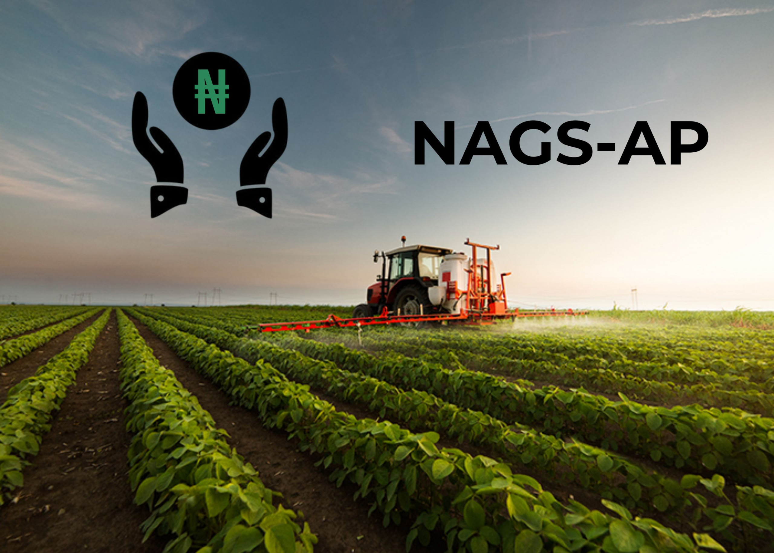 Nigeria To Integrate Insurance Feature With NAGS-AP Programme