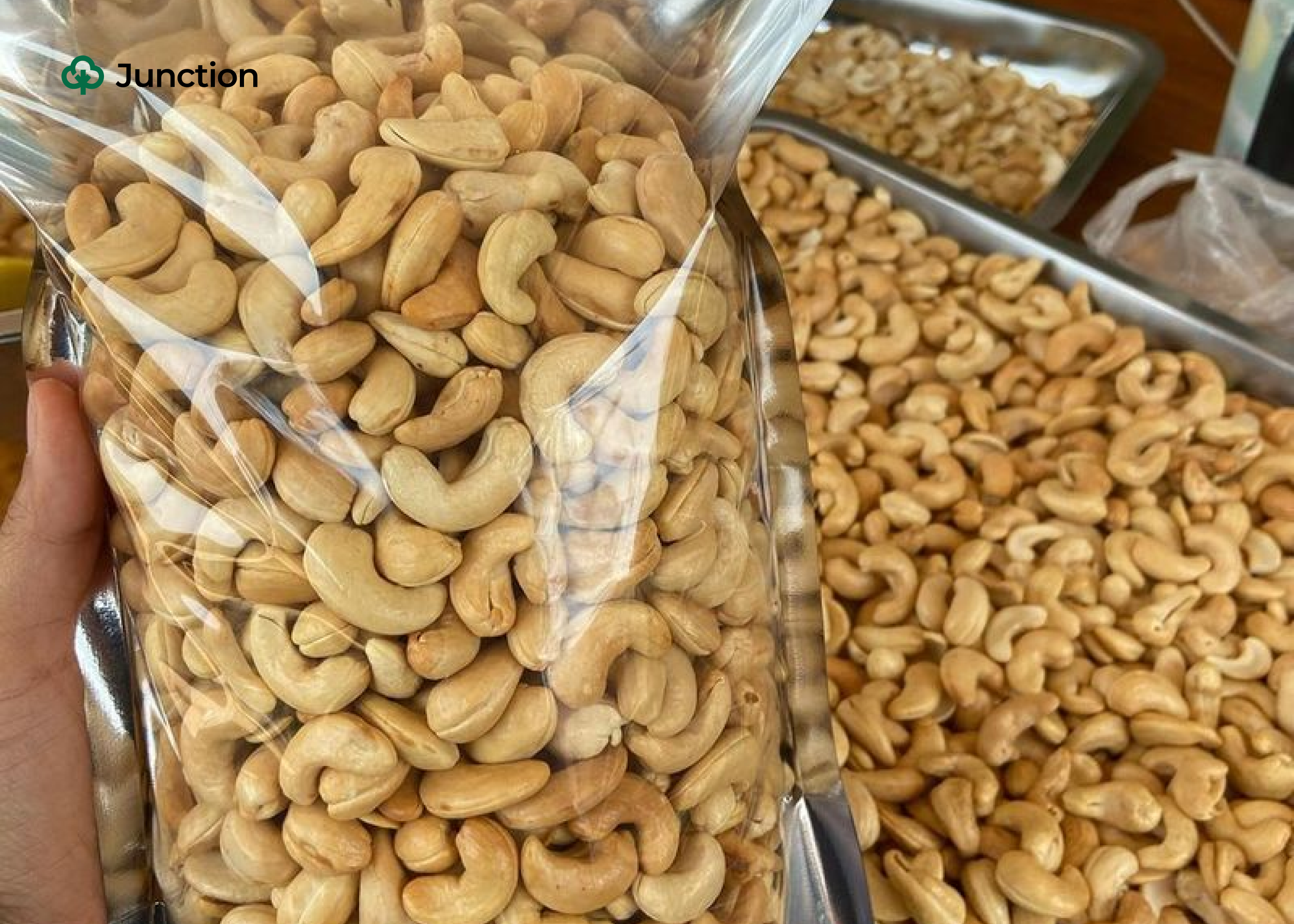 Kogi State Cashew Traders Urge FG To Curb Foreign Exploitation