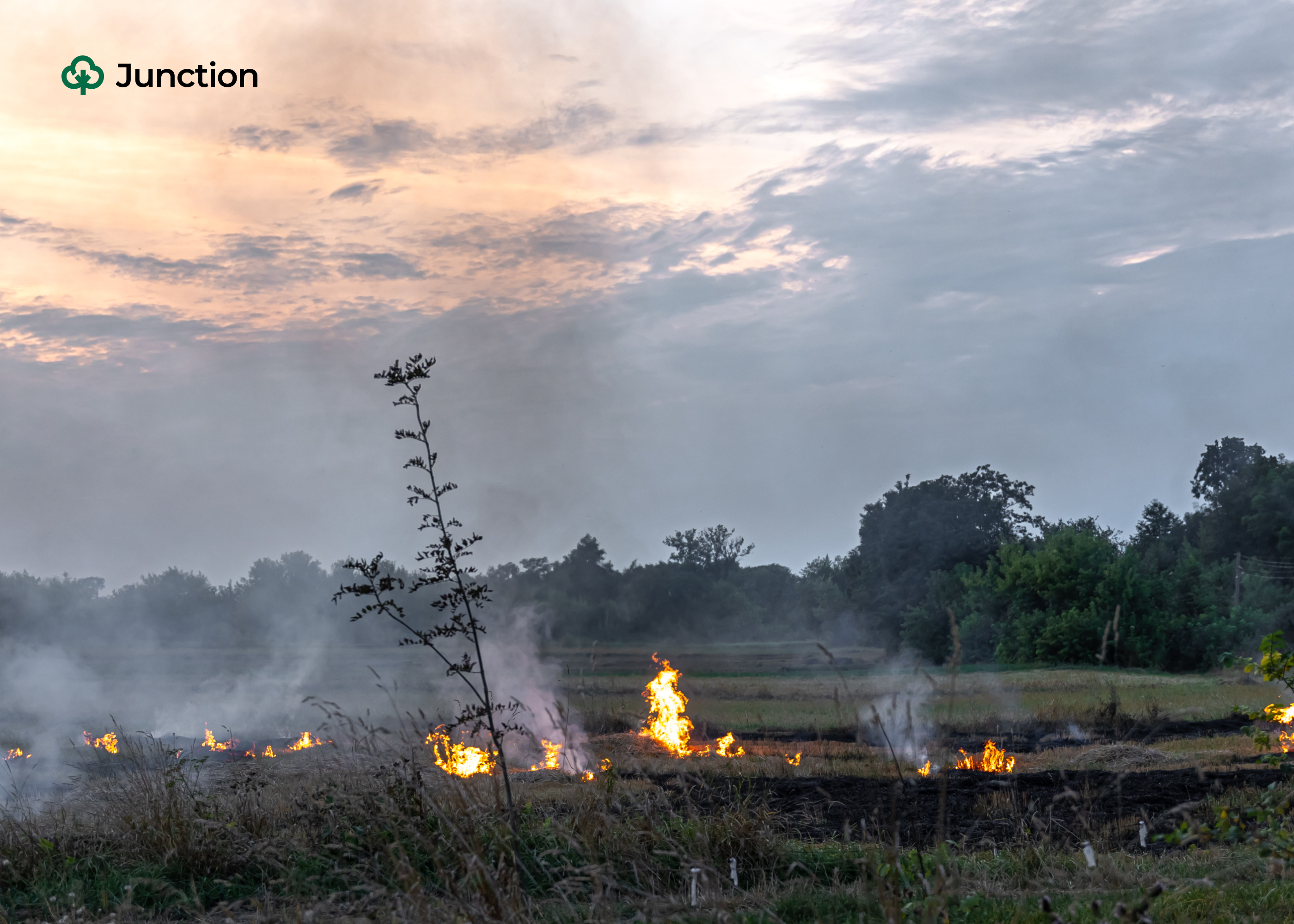 Police Probe Burning Of ₦27m Cassava Farm In Ogun By Cattle Herders