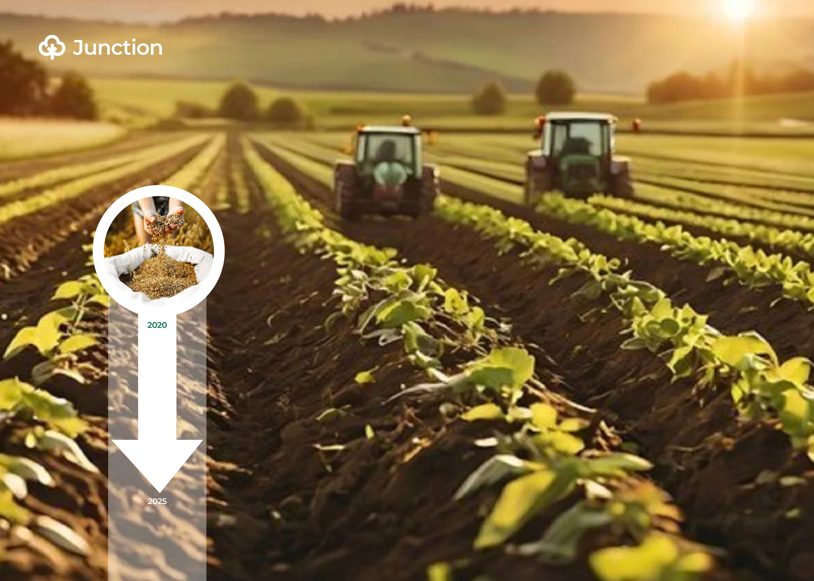 Nigeria's Agricultural Growth Plummets to Five-Year Low, Threatening Food Security