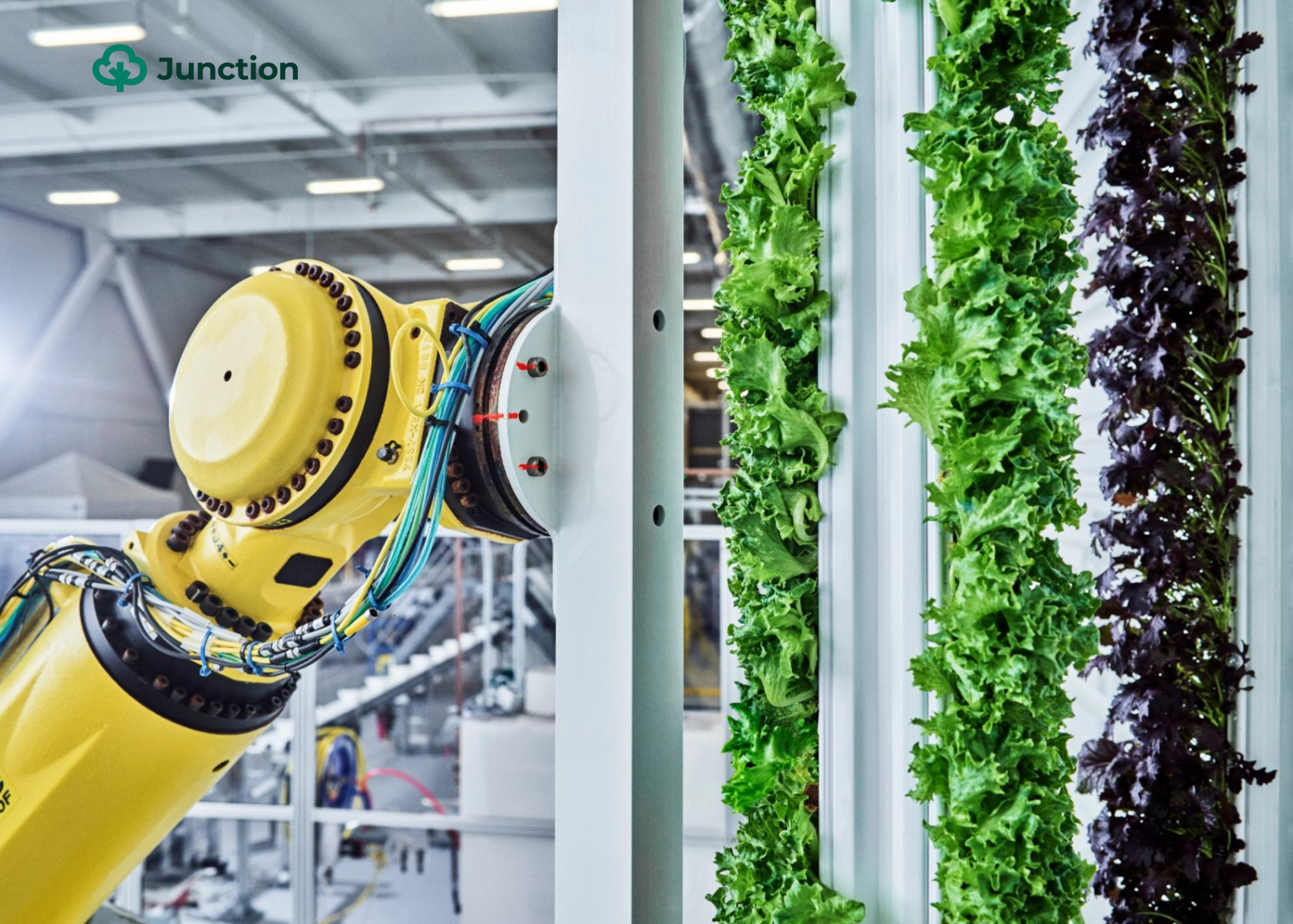 Plenty Collapses Despite $1B In Funding As Indoor Agriculture Faces Reckoning
