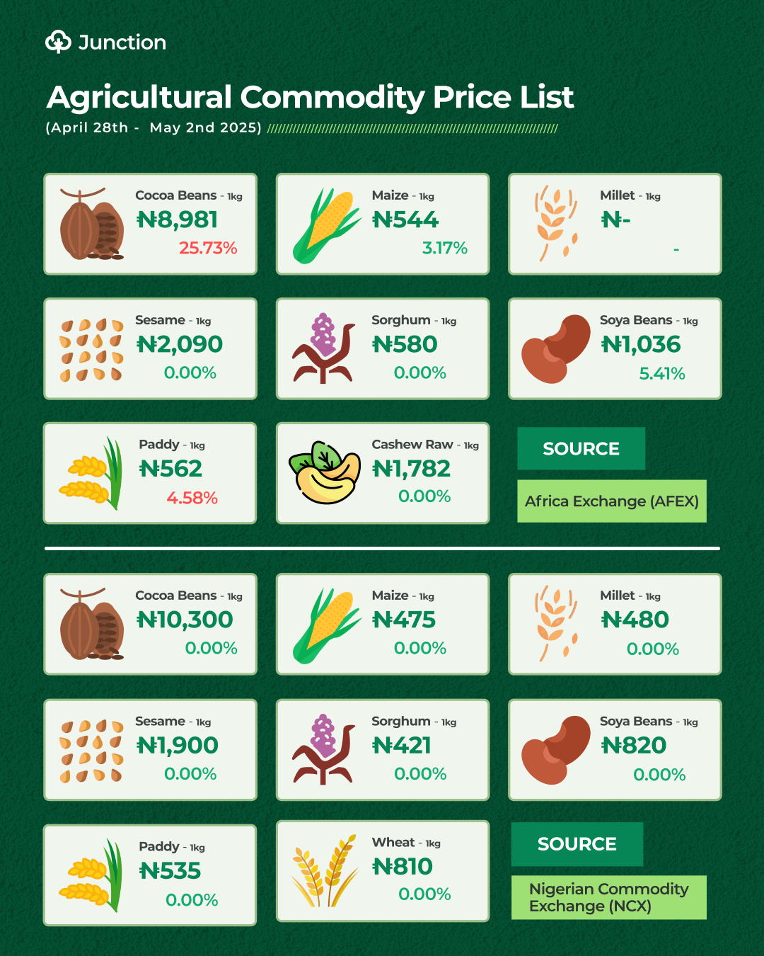 Cocoa Price Crash By Over 25% In Nigeria. TheJunction.ng