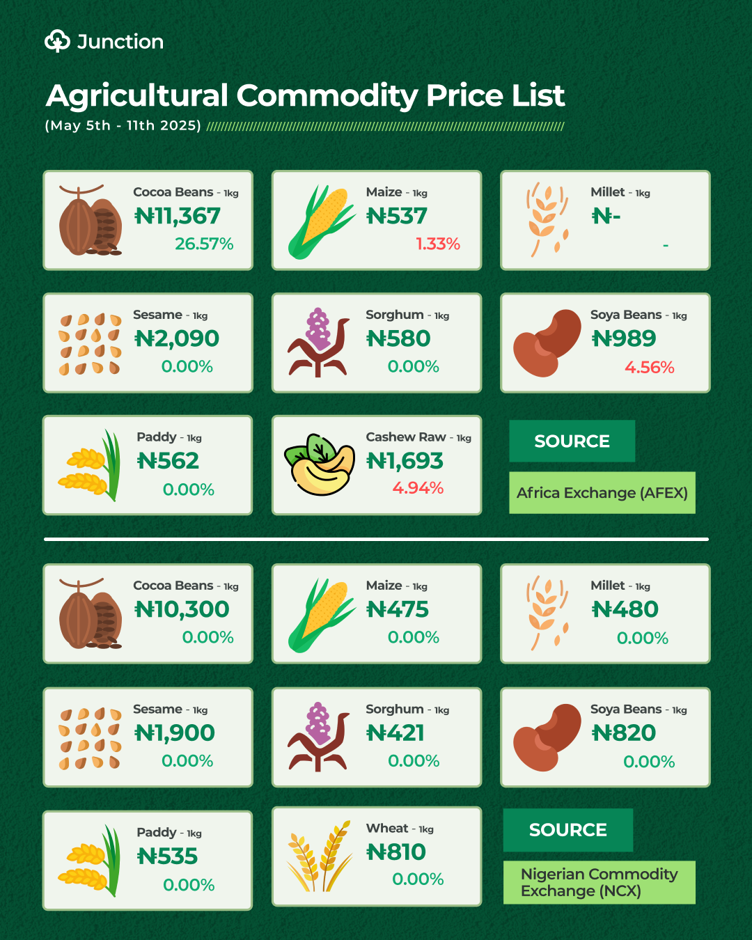 Raw Cashew Price Declines In Nigeria Amidst Global Market Shakeup