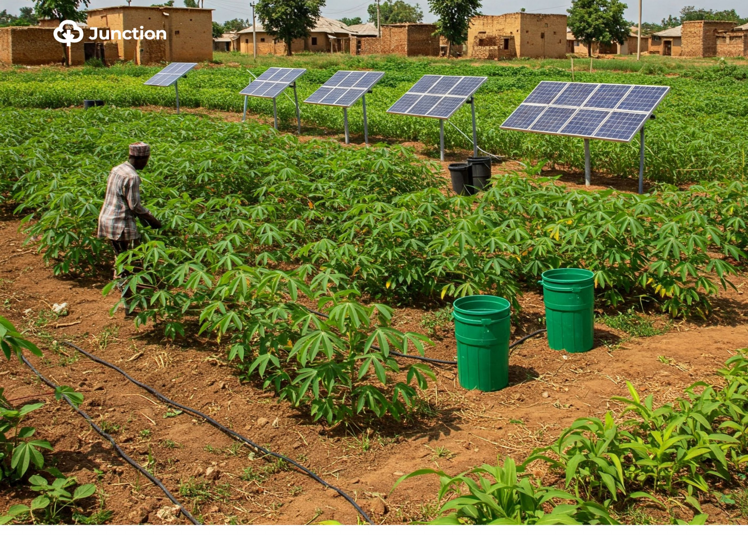 See How FG’s ₦300b Green Bond Plan Can Benefit Nigerian Farmers