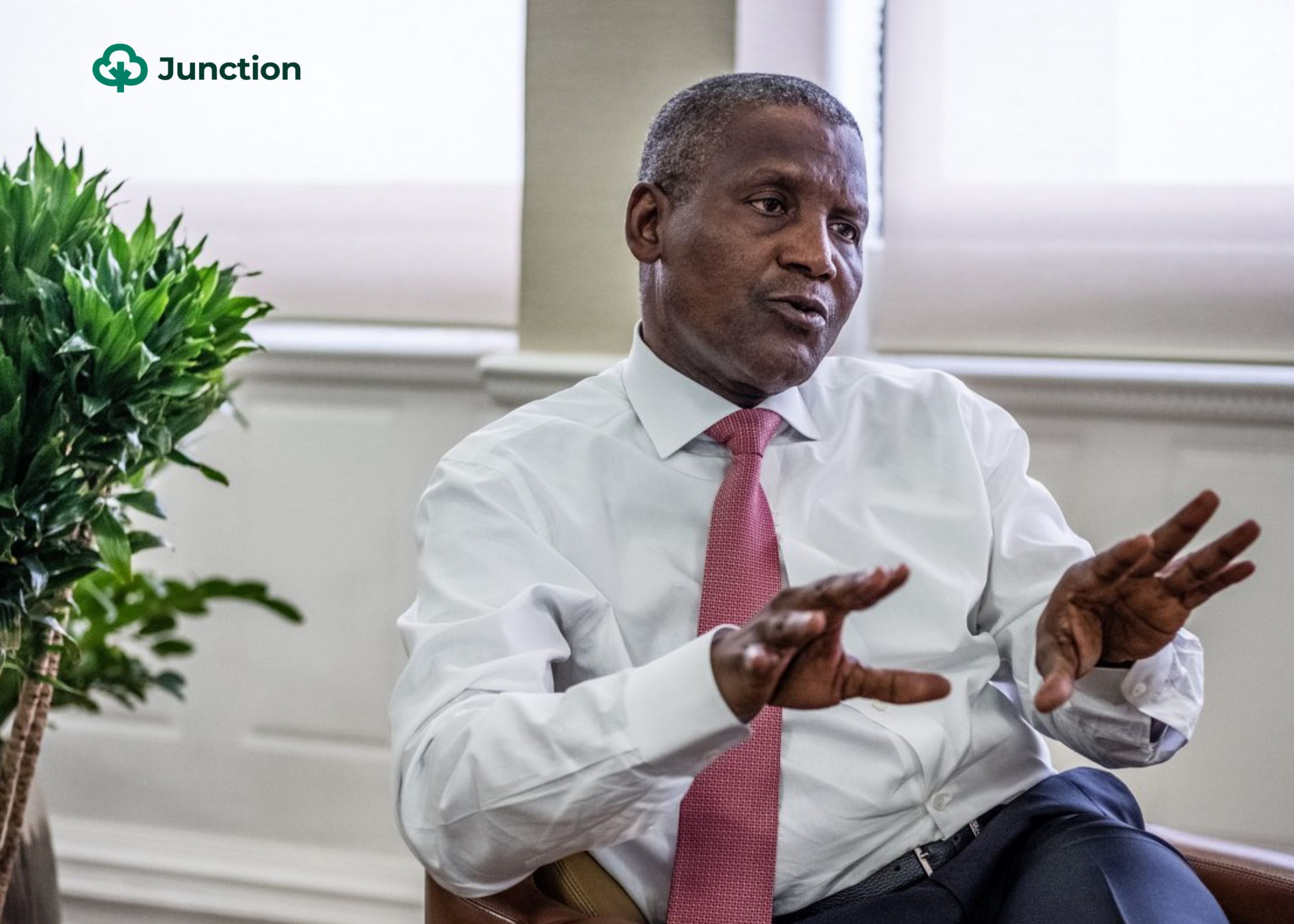 Dangote Group, Niger State Partner On Multi-Billion Naira Rice Production Drive