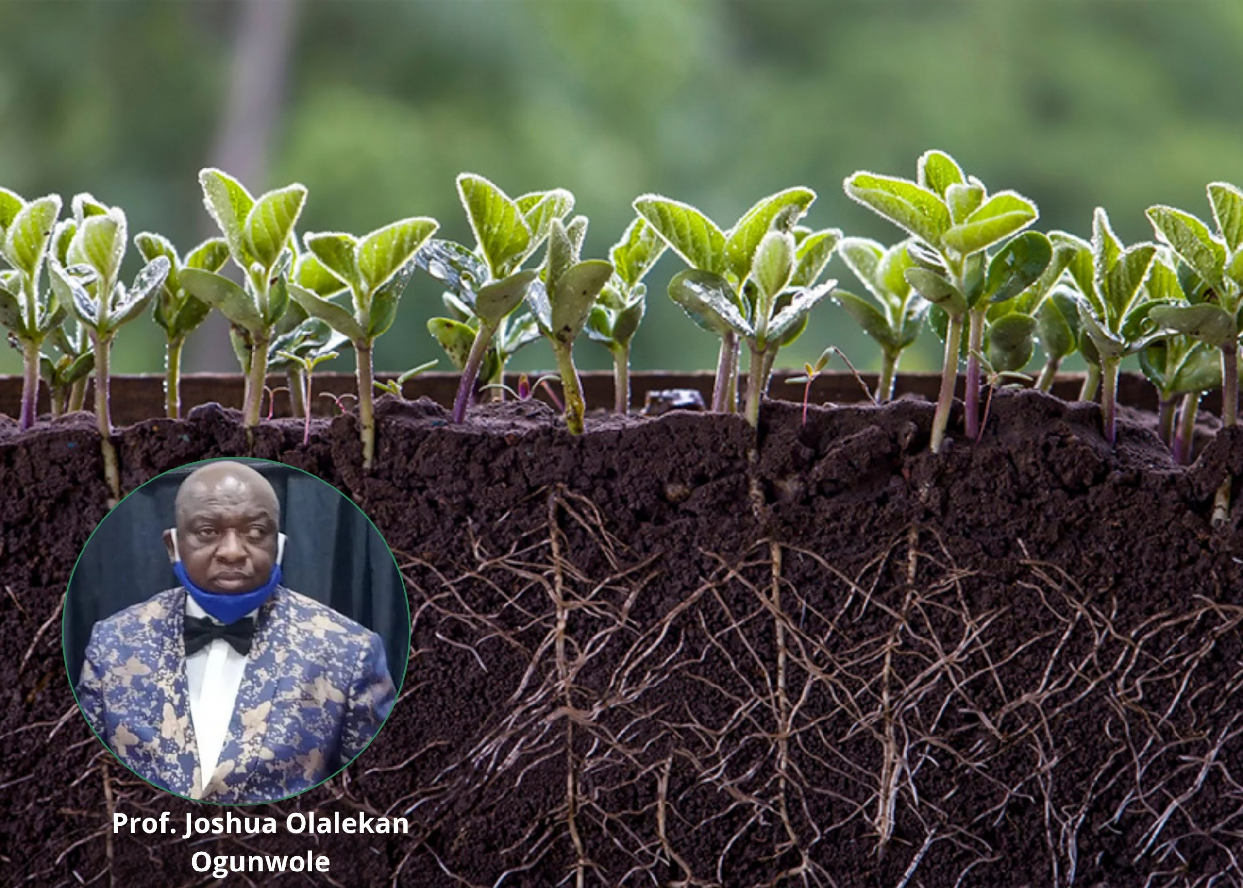 Prof. Joshua Olalekan Ogunwole